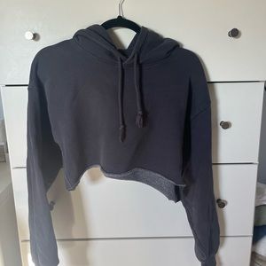 Aritizia cropped fleece hoodie